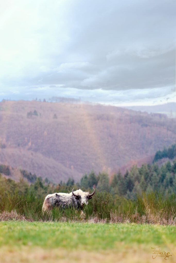 IMG-20210208-WA0005