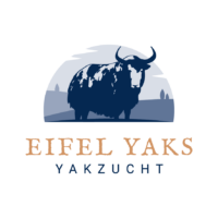 Yaks in der Eifel